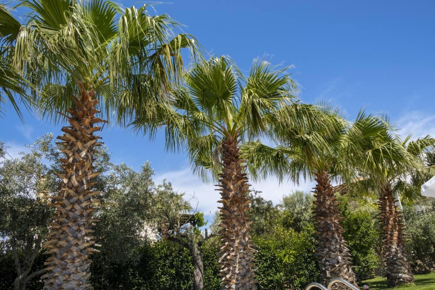 Villas Goudis Τσουκαλάδες Εξωτερικό φωτογραφία