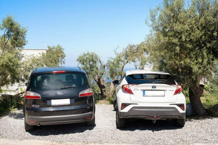 Villas Goudis Τσουκαλάδες Εξωτερικό φωτογραφία